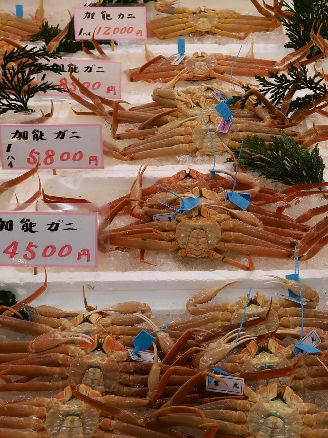金沢港いきいき魚市は、北陸・金沢を代表するズワイガニ、甘えびなどの新鮮な海の幸をこの石川の地で魚を獲る漁師さんたちがお店を開き、販売している。もちろん一般の消費者の皆さんに直接販売も・・。<br /><br />いきいき魚市　については・・<br />https://ikiiki.or.jp/<br /><br />「加能ガニ」が誕生！<br />　石川県内の漁協が平成18年に一つの漁協へと統合されたことを契機に、県産ズワイガニの名称を一般公募し、「加能ガニ」と名付けられた。<br /><br />「加」賀から「能」登まで、県内の漁協が一つになり、自信をもってお届けするブランドガニ。　9cm以上の雄のズワイガニで、漁師（船主）が品質に自信を持てるものにだけ、漁港の名称を刻印した青タグを付け、｢加能ガニ｣として市場へ出す。<br />　栄養豊富な日本海で育った加能ガニの太い脚には、殻を割るとあふれそうなくらいに身がぎっしり！ ゆで上げれば、そのホクホクとした身はしっとりと甘く、繊細な旨味を堪能でき、さらに甲羅の中の濃厚ミソは独特の風味から珍重されているとのこと。<br /><br />石川県では、ズワイガニの雌を「香箱ガニ」という。<br />香箱ガニの大きさは、加能ガニの半分ほどですが、甲羅の中にあるオレンジ色の未成熟卵「内子」やカニミソ、お腹には茶色の粒状の卵「外子」をたっぷり抱え、小さいながらもその味わいは天下一品らしい。<br /><br />2ヶ月に満たない漁期、冬の日本海のシケなどで出漁が少なくなることもあって、石川県産はプレミアもの。<br /><br />カニは脱皮を繰り返して大きくなる。雌の香箱ガニは、7～8ｃｍ程の大きさで産卵し、それ以上は脱皮しない。<br />一方、雄の加能ガニは、脱皮をし続け、甲羅の幅は1年に１cm程度大きくなるので、加能ガニと呼ばれるには10年程度を要します。<br /><br />