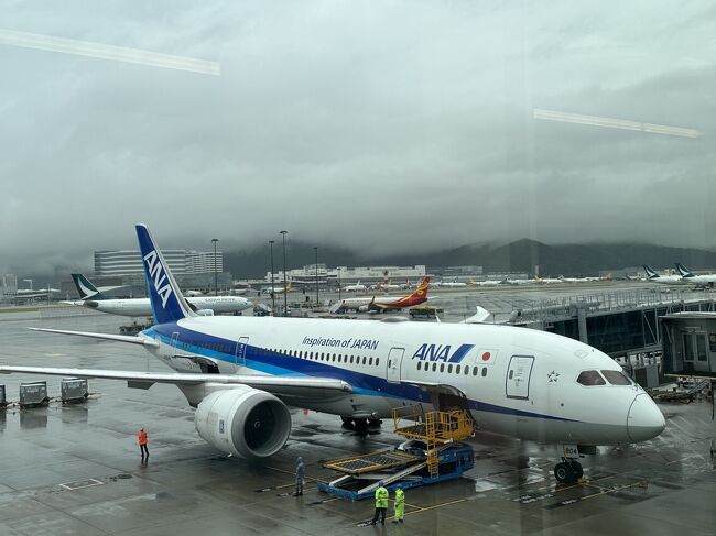 香港3日目です。<br />この日も朝から雨。<br />以前シグナル8って事でどこにも行けません（笑）<br />この日は大人しく空港に向かい無事に到着するであろう帰国便を待ちます。<br />その3は空港へ移動、その後ラウンジから機内へと帰国便の搭乗記になります。<br />それでは旅行記スタートです！