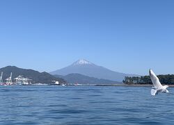 NHK大河ドラマ「どうする家康」の影響で12月の静岡へ。その６　清水に行って船で三保半島に渡ってみました。昔、渡しがあったのね～