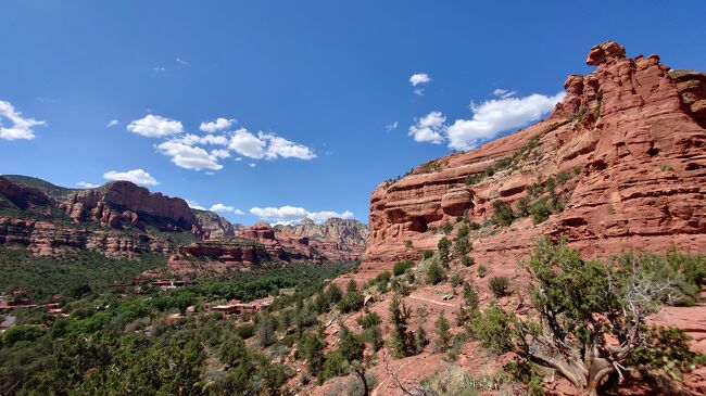 夏休みに行ったニューヨークとグランドキャニオンへの旅の様子です。<br /><br />グランドキャニオンのエルトバーホテル宿泊後にセリグマン、セドナに行き、フェニックスからデンバー経由で帰国いたします。<br /><br />全体の旅程は以下の通り<br />飛行機<br />8/24 ANA102 羽田10:55-ワシントンD.C. 10:35<br />同 UA6037 ワシントンD.C.17:30-ラガーディア19:00<br />8/27 UA6140 ラガーディア17:29-ヒューストン20:35<br />同 UA6023 ヒューストン21:30-フェニックス22:26<br />★8/30 UA604 フェニックス6:00-デンバー8:56<br />同 UA143 デンバー11:50-成田14:40(8/31)<br /><br />野球観戦<br />8/25 19:10 NY Mets vs. LA Angeles<br />8/26 19:10 同<br />8/27 12:40 同<br /><br />宿泊<br />8/24 Westin New York Grand Central<br />8/25 同<br />8/26 Aloft New York LaGuardia Airport<br />8/27 Hyatt Place Tempe/Phonix Airport<br />8/28 El Tovar Hotel<br />★8/29 Hyatt Regency Phoenix