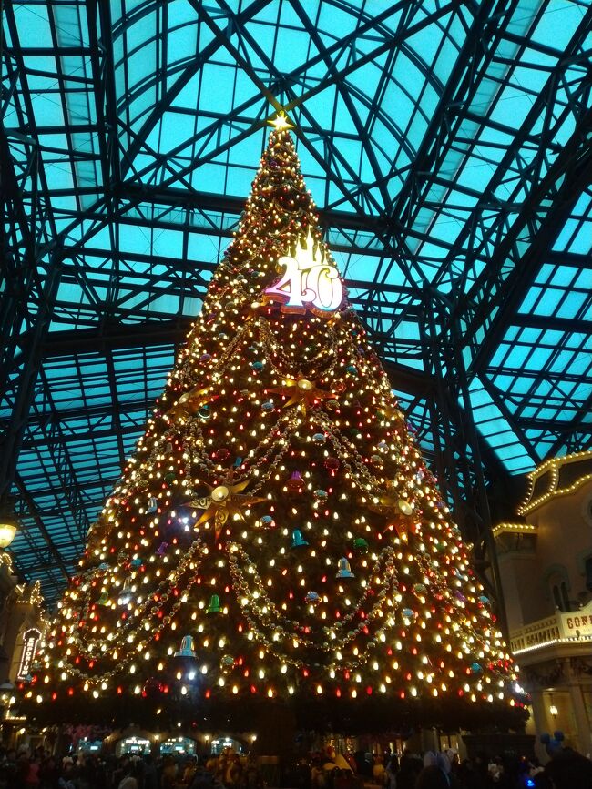 去年子供と約束していたディズニークリスマス!<br />直前に義母が亡くなってキャンセルしたので<br />1年越しのディズニークリスマスとなりました。