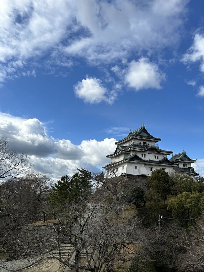 JALのセールで1月に羽田→関空と伊丹→羽田の航空券を片道ずつ買いました。<br />２つで約16000円でした！安い！！<br /><br />何故往路が関空なのかというと、和歌山に行くためです。<br />今回の旅の目的は１つは和歌山城に行ってみたかったのです！<br />紀伊半島の下の方は行きづらいので、今回はパス。<br /><br />和歌山を少しみて、のんびりと大阪で2泊する旅行でした！<br /><br />1日目は和歌山城へ行き、<br />夜に大阪の天王寺で飲み歩きをしました！