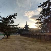 久しぶりの一人旅③　興福寺/奈良公園を朝散歩、記録的大雪の恐れで、予定変更して直帰