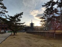 久しぶりの一人旅③　興福寺/奈良公園を朝散歩、記録的大雪の恐れで、予定変更して直帰