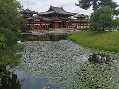 久しぶり京都あぶり餅が食べたかった