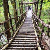 行きたかった場所へ②ー祖谷峡