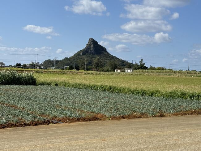 《2024.January》あみんちゅなにげに沖縄街歩きの旅そのⅣ～念願叶った伊江島編～ <br /><br />旅三日目の朝は少し早めに起床した。部屋から出て通路を少し歩くと海が広がっている。あまりオーシャンビュー過ぎると“窓”を開けて寝られなかった記憶があるが、この時期故かそういったことはなかった。 いつもならばのんびりとして出発までを過ごすのだが、今日は時間mustの予定があるためにちゃっちゃと過ごす。8：00過ぎ位にチェックアウトし、ホテルの外観をカメラに収めて出発する。目指す先は10分程で到着する本部港、車をフェリーに乗せて移動する。目的地は伊江島。本部港から25分の船旅で到着可能な〝手軽に訪れることができる離島〟のひとつである。伊江島には〝城山（タッチュー〟”という山がある。標高は高くはないが、元々起伏の少ない伊江島では目立つ山である。定期的に沖縄を訪れるようになってから3回、本部半島から城山の景色を眺めていた。その度に〝行きたい〟という気持ちにはなるのだが、フェリーで現地滞在の時間を加味すると8：30には本部港に到着できる場所に泊まらなければならない。昨年6月はそこを踏まえて今帰仁に宿を取ったが、旅行支援を受けるために2食付プランで申し込んだのだが、朝食が8：00からだということをホテルまで来て初めて知った。距離的にはそう遠くもないので〝行く気〟になれば可能だったかも知れないが、当日は午前中から天気が崩れるという予報が出ていたこともあり諦めた過去がある。よって正しく〝四度目の正直〟で伊江島に渡ることができたのであった。 8：30頃本部港に到着し、最初に乗船手続きのために車検証を持って窓口へと向かう。4m未満の車両とドライバー往復の値段は5,990円。この辺りは伊江島をどの様な方法で巡るかによって変わると思うのだが、レンタカーを借りるのであればフェリーにレンタカーを載せた方が効率が良い。原付や自転車ならば晴れていれば大丈夫だろう。私は伊江島での移動を車にする予定だったために航送を選択した。ただこの伊江島フェリーは今まで私が利用したフェリーと少し異なり、ドライバーが車に乗ったままでも良いらしい。バックで乗船し前進で下船するといった面白さがあるので、話のネタに利用するのも良いかも知れない。そんな感じで乗船手続きを済ませ、フェリー待合の列に並ぶ。伊江島航路に投入されているのは〝フェリーいえじま〟であった。本来ならば〝フェリーぐすく〟との二船体制であるが、一週間程前にエンジントラブルを起こし、ドック入りしているために〝フェリーいえじま〟一隻だけで運航をしているようだ。特に荷物や車両が多い訳ではなく、予定通りの出港であった。朝が早かったので車の中で一眠りする。少しウトウトしているとすぐに着岸のアナウンスが流れる。伊江島港に到着すると、本部港の乗船順位とは逆に下船する。伊江島到着後数分で私もWAGON Rクンと共に下船。四回目の正直で伊江島に足を踏み入れることができた。 フェリーいえじまは9：25に着岸して車と荷物を下ろし、10：00に本部港に向かって出港する。あくまで伊江島から本部に向かう航路が優先となっているのは、伊江村営フェリーだからである。暫く伊江港の施設を見て歩き、フェリーの出港時間とともに出発する。最初に向かったのは伊江郵便局、目的は勿論旅行貯金である。伊江島の金融と物流の拠点である伊江郵便局。本来ならば土日祝祭日の特殊郵便の受取のため、郵便窓口が開いていると思いきや、そこは時代の流れのようで特定郵便局と同じ扱いだった。ATMの稼働はホリデーサービス実施店になっているが、島内2件のファミリーマートに琉球銀行のATMがあるそうだ。金融の面では八重山の離島とは比較にならないとも言えるのだろう。そんな伊江郵便局で貯金を済ませ、いよいよ伊江島探索を始めることにする。 伊江島を訪れる理由は人様々であるが、最も多いのはタッチュー登山、そして〝ゆり祭り〟〝伊江島一周マラソン〟〝ハイビスカス祭り〟といったイベントが行われる時である。これらの開催日にはフェリーの増便運航が行われ、島に人がうじゃうじゃいる様子を呈するが、普段は長閑で海に囲まれた離島である。しかしこの伊江島は70余年前に〝六日戦争〟と呼ばれる沖縄戦の前哨戦と言われる熾烈な戦いの戦場になった場所であり、それに起因する戦績や史跡が多く残る場所でもある。あまり細かくは情報が得られなかったために訪れて初めてわかることもあるだろうという気持ちで訪れたこともひとつの理由でもある。 伊江郵便局を出て向かった先は反戦平和資料館。元々さほど広くはない島内に〝反戦〟を掲げた建物がふたつある。そのひとつがここ反戦平和資料館である。地図に書かれている場所とはだいぶズレており、暫く探したがなんとか見つけることができた。この場所は平和運動家である阿波根昌鴻（あはごん しょうこう）が自宅敷地内に自費で建立し、自身が収集した沖縄戦やその後の米軍による土地の強制収用や基地問題に関する資料を展示している。〝ヌチドゥタカラの家〟とも呼ばれている。決して公費により造られた〝資料館〟とは違い〝見せる〟というものではなく、陳列されている〝もの〟をどう感じ取るかを〝考えさせる〟資料館というものだと私には思えた。言葉で伝えるものではないので概略のみ記すことにするが、戦後も続く沖縄戦というものが伺える。ちなみに後で知ったことだが、要予約だということ。場所の特定しか事前にしていなかったことを反省する。ヌチドゥタカラの家を後にして3km程の場所にある伊江島ハイビスカス園にやって来る。沖縄と言えばハイビスカスと言われる県花は年中見ることはできるものの、やはり1月というと温室が主体となる。昨年6月に訪れることができなかったことを少し悔やむ。それでも〝期待していた場所〟のひとつには違いなく、沖縄らしい〝ハイビスカス楽園〟には満足した。 車に戻り伊江島順路を表示している〝Google Navi〟に〝アハシャガマ〟という表示を見つけ向かうことにした。伊江島ハイビスカス園・ゴルフ場の近くの山肌にあるアハシャガマは、伊江島のガマに於いて最も多い犠牲者を出したガマとして知られている。入口には、1945年4月16日から始まった伊江島戦の激戦の末、アハシャガマに隠れていた村民は米軍の捕虜になるのを恐れ、防衛隊が持ち込んでいた爆雷で自爆し、村民約150名の尊い命が失われた。その際に生き残った者は20人ぐらいと言われている。壕は爆発で埋没したままになっていたが、1971年12月に村民の手で発掘され、出土した遺骨は芳魂之塔に合祀されている。しかし未だ未発掘の遺骨や遺品が残っているという情報もあるため、自決があったガマに関して私は一切立ち入る気持ちはない。掘り返されて判明したガマ内部ではあるが、その姿だけを写真に収めて手を合わせてから出発する。 次に向かった先は湧出（わじー）。海に浮かんだ離島である伊江島では、生活用水の確保は死活問題であり、水不足に悩んだ島の人の生活を支えた60mを超える断崖絶壁の下の波打ち際から真水が湧き出る場所である。まあ名前の通りだが、戦時中はその危険を推してまで〝水汲み〟をしなければならなかった。皮肉な話だが戦後米軍の手によって輸送管路が設置されて便利になり、水不足に悩んだ島の一助にもなっている。その後本部半島からの海底送水によって生活用水は賄われてはいるが、湧出の良質な水を利用した地場産業品の製造に現在では使われている。今では展望台から眺める〝海〟の景観が素晴らしい場所として知られてはいるが、名前の由来を知って訪れることはまさに一興だと思う。 一通り眺めを満喫し次の目的地を目指す。しかしGoogle Naviナビが表示する場所に着いても肝心な目的地がわからない。周回道路から海側に続く未舗装の道路は、突き当りが米軍基地になっているようで、Uターンする場所もなくなんとか切り返して方向転換をする。歩くスピードまで速度を落としながら山肌を眺めつつ走るとやっと見つけることができた。〝第502特設警備工兵隊出撃之地〟碑である。伊江島は沖縄戦の前哨戦とも言われる戦いの戦場になったことは先述したが、伊江島を守備した独立混成第44旅団第2歩兵隊第1大隊は井川正少佐以下650名、それに臨時編成された砲兵小隊等650名。その他第502特設警備工兵隊約800名、伊江島守備隊約200名と言われているが、軍人としては1,000名程度であり、残りは現地徴兵された義勇隊という〝寄せ集め〟の部隊である。武器も少なく義勇隊に至っては機関銃・小銃・擲弾筒・手榴弾が僅かに渡されただけであり、〝竹槍〟が主な武器だったと言われている。伊江島の戦いが始まる少し前の昭和20（1945）年3月、名護の出身である宜保豊猛中尉以下800名は主任務として伊江島飛行場の整備・保守に当たっていたが、米軍の上陸に対し自分達が整備した飛行場を利用されないように破壊した後本部に移動。第2歩兵隊に合流するように命令されていた。しかし島を出るにも制海権が失われた状況下で船もなく、島に残らざるを得なくなった。その上伊江島に上陸した米軍によって、飛行場を中心に島が分断されることとなり、東側の第1大隊と特設警備工兵隊は完全に孤立してしまう。本隊との連絡もままならない状況下で第502特設警備工兵隊宜保隊長以下800名の兵士は昭和20（1945）年4月16日の夕刻に手榴弾2個と竹槍を持って米軍に斬込みを仕掛け、多くの兵士は戦死、生存者は僅かに180名程だったと言われている。800名のうち半数以上が現地召集の住民義勇隊であった。最後の斬り込みを敢行するにあたり、宜保隊長は数人に別れて敵中突破し、井川部隊に合流するように訓示をしたそうだが、生存者数から見てもそれが無茶だったことは容易にわかる。しかしそうするしかなかったのもまた事実である。伊江島の六日戦争で日本軍約3000人・村民約1500人が戦死した。勿論この中に第502特設警備工兵隊の戦死者も含まれている。その最後の斬り込みに挑んだ場所がこのガマだった。 そんな戦跡であることが分かり辛い場所にある理由のひとつであるだろう。結果論では語れないことではあるが、島外へ移動ができなかったことで部隊の運命が決まってしまった。このガマでは自決者はいなかったとされてはいるが、やはり遺品等残っている可能性はあるため入口で手を合わせ、ガマ内部には入らずに次の目的地を目指すことにした。 <br /><br />道路沿いにある白い建物、壁には色々なことが書いてある。〝団結道場〟は伊江村真謝区にある建物で、伊江島土地闘争で故阿波根昌鴻氏らが米軍への抵抗運動の拠点としてきた場所である。1970年に建てられた建物は半世紀を過ぎ、老朽化してきたためにヌチドゥタカラの家を運営する〝わびあいの里〟と有志達が立ち上げた〝伊江島団結道場保存会〟が中心となって、補修費用約１千万円の寄付を募っている。〝伊江島の闘いのシンボルを後世に残したい〟という思いをわびあいの里の謝花理事長が呼びかけて協力を呼び掛けているという記事が琉球新報に掲載されていた。団結道場は、土地闘争における非暴力の闘いの歴史と思想を学ぶ場として活用されてきた建物であり、建物内には〝伊江島土地を守る会〟の活動を支援した個人や団体名が掲げられ、初公選主席の屋良朝苗、元国際人権連盟議長のボールドウィンなど、幅広い顔ぶれの名前が並んでいる。他にも〝伊江島の非暴力の闘いを記録している歴史的建造物。後世に残すべきものだ〟という道場保存の意義が述べられている旨が書かれており、中でも〝戦後の基地問題は伊江島から始まった。その記録がここにある〟という点を強調し、老朽化でコンクリートの剥離や落下が見られるようになっている道場存続の意義を綴っているようだ。言っていることは理解できるのだが、戦後の沖縄に於ける〝対米軍〟〝反戦〟といったものに対する〝拠点〟について、他にも老朽化を理由にして、補修費用を寄付で賄うための〝記事〟は多く見かけるのだが、〝その後〟が尻切れトンボ状態になっているものが大変多い。この団結道場の話にしても、新聞記事は令和元（2018）年10月のものである。そしてこの記事によると来年3月の補修工事完了を目指しているとあるので、令和2（2019）年3月には完成しているということになる。しかしその工事完了に触れている記述はなく、おまけに現地に行って確認した限りでは〝工事中は建物内を見学できない〟との注意事項が現在でも続いている。結局のところ工事は〝できなかったのかどうか〟もわからず、それが理由で今なお〝建物内が見学できない〟のかどうかもわからない。道場建立の意気込みはわかっても、現状を見る限り〝何をどうしたいのか？〟が見えて来ないのが私の意見である。バス停には〝団結道場前〟とあることから、ただの廃墟となっている訳ではないのかも知れないが、寄付を集めて…という考えであれば、その後の経過を説明する〝義務〟はある筈である。言い方は悪いが沖縄にはそういった施設等が結構あるように思う。アナウンスしっぱなしで済ませるのであれば、大層なことを言わなければいいと思うのだが如何なものだろうか？外壁も修理されていない、外のトイレは〝使用禁止〟と貼られ〝廃墟〟としか思えない建物には興味が持てず、早々に次の目的地を目指して出発することにした。 向かった先は伊江島補助飛行場跡。旧日本陸軍の伊江島飛行場に由来し、現在ではアメリカ海兵隊の飛行場・練習場となっている場所である。飛行場と言えば真っ直ぐな〝滑走路〟でわかりそうなものなのだが、Google Naviの表示する場所に行った結果は米軍基地。滑走路らしきものは柵の中に位置するのでおかしいなとは思ったのだが、概要（写真）を検索しようとしたものの、電波状態が悪く調べることができなかった。まあ米軍基地でも現在の伊江島を象徴しているものには違いないために、景色の写真だけを撮って出発することにした。 <br /><br />港に向かうようなルートを走り、真ん中に碑がある大きな広場に到着する。アーニーパイル記念碑。写真好きならば一度は聞いたことがある〝ピューリッツァー賞〟を受賞した従軍カメラマンである。伊江島に上陸した米国第305連隊と行動を共にして戦場を取材中の1945年4月18日に日本軍の機関銃弾に斃れた。アーニーバイルは、戦場にあって一般の民間人や兵士の不安や怒り、喜びや悲しみを愛情をもって報道し続けた。時代は違うがやはり従軍記者としてベトナム戦争で斃れた〝沢田教一〟もまた同じ観点からファインダー越しの姿をカメラに残し、やはりピューリッツァー賞を受賞している。 アーニーパイルの遺体は粗末な木製の十字架の下に埋葬されていたが、戦後の沖縄本島の陸軍墓地を経て、現在はホノルルの国立墓地へ移された。この記念碑が建立されている場所は、彼が戦死した場所であり、改葬後に米軍の手によってこのアーニーパイル記念碑が建てられ今日に至っている。 従軍記者とは言え、ぱっと見は兵士と判断される以上命の危険が伴うことは本人も理解していよう。戦争という〝行為〟は今更ながらいかなる理由があれと肯定できるものではない。しかし兵士という一個人の観点から言うならば、〝殺さなければ殺される〟と言う究極の選択を強いられる環境下では、銃撃をした日本兵を責めることもできないであろう。米軍も多くの日本兵や住民を殺害した。しかしお互い様のひと言では済ませられないこととして片付けられることでもない。殺し合うことが当たり前になって良いわけはない。理性のある人間をも変えてしまう戦争は、いかなる理由があれども許されるものではないことを改めて再認識するアーニーパイル記念碑であった。 車を少し走らせてミースィ公園にやって来た。公園入口には何やら石像が建てられている。〝大力者安里五良の像〟は旧藩末に上納船の船頭で腕っぷしの強さで名を轟かせていた〝安里五良(あさとぐら)〟は、伊江島西江村の生まれで、持ち前の大食い・剛力から〝大力者(うぶてーむん)〟と呼ばれた。 角力（沖縄相撲）に於いてはその大力者を負かす者がいなかったので、興味を持った那覇の角力狂が後援者となり、伊江島の船乗りと那覇のニオに角力をとらせることになった。 那覇のニオは空手をやり、武術のたしなみがあったので、最初こそ伊江勢の劣勢が続いたが、最後に出た五良は残りの5人を瞬く間に負かし伊江島勢に勝利をもたらした。 後援者ら見物人は総立ちになって〝伊江勝ちゃん〟と凱歌をあげ、伊江島の人々は〝伊江ハッチャン〟と叫んだ。 島人がハッチャンというのを土臭く面白いので、誰言うとなく伊江ハッチャーに変化したということが言われている。その進化を国頭で発揮したのが、明治20年国頭高等小学校建設用地の地均しを各間切島に割当てられた時である。島では男子ばかりの若者を選りすぐって、朝早くから晩も遅くまで作業し他間切の半分の日数で仕上げてしまった。他間切の夫役が嘲弄するかのように〝伊江ハッチャー〟と言ったのが一般化し、猪突猛進型で男性的な響きとして今日に伝わっている。 五良がプーズィナ(帆縄)を握り一帆船を操り、片手には三升(にわーしドゥクイ)の縄を持って、荒波に向う雄姿には〝進取の気性〟〝負けん気性〟等伊江島の一号精神が象徴され、村の限りない躍進が表現されている。 伊江島の生んだ〝大力者安里五良〟は明治23年に亡くなったとされるが、実際のところ生年や歳は不明である。石碑の由来書きを要約したが、実際のところ伊江村民の負けん気やチャレンジ精神の象徴として〝大力者安里五良〟の偶像を作り上げて祀っていることのように思える。生年も没年齢もわからない〝大力者安里五良〟。実在の有無よりも伊江村民の〝精神的な拠り所〟という位置付けなのだろうとふと感じたひとりの観光客であった。 再び車を走らせて〝第二小隊壕〟に到着する。入口には南京錠がかかっており内部には入れないが、ここは独立混成第44旅団第2歩兵隊第3中隊第2小隊が籠もっていた壕である。隊長は橋本勇二少尉、昭和20（1945）年4月17日の米軍上陸後2日目の戦いに於いて負傷するも部下に助けられて帰隊するも、4月20日小隊壕付近で陣地を死守していたところに銃撃を受けて戦死。小隊は玉砕する。この日が伊江島守備隊にとって〝最後の抵抗〟の日となり、敵砲弾が止んだ翌4月21日未明に突撃を加え、部隊長以下将校は戦死若しくは自決により果て、なんとか生き残った者はやむなく各所の壕に入って夜を待った。斯くして指揮官を失い、戦友と別れた下士官・兵達はその後昼は壕に潜んで、夜になれば出て敵陣に斬込みを加え続けた。部隊長井川正少佐の最後の訓詞である〝一日でも長く敵の伊江島完全占領を妨害し、一人でも多くの敵兵を斃せ〟に従い、生きて飢えに耐え渇きに苦しみ、痛みをこらえて遊撃戦は尚長く続けられた。この小隊壕のすぐ下に〝マーガー井戸〟という伊江島に於いては、貴重な水源があったことも、部隊が戦闘を続けられた理由のひとつでもある。 6日間の伊江島の戦いに於いて住民1,500余名を含む4,706名が戦死し、149名が捕虜となった（米軍データ・諸説あり）。この内正規の軍人の戦死者数は2,000余名と言われているので、伊江島防衛隊や婦人協力隊、それに〝軍服を着た民間人〟等区分が難しい〝軍属等〟からも1,000名を超える犠牲者を出していることになる。米軍の軍服を着た者もいたことから、兵士と民間人の区別がつかなかったことから攻撃対象になったという記録も残されている。犠牲者数は文献によって大きく差があるものもあるため、どれが正確なのかは特定し辛いのも現実である。これらのことを踏まえると、戦争の是非論は今更言うまでもないことだが、この小隊壕のような〝戦時中の生き字引き〟の施設は行政等然るべき組織がしっかり管理をして、後世に残るようにする必要性を常に感じている。 そして話に挙げたマーガー井戸に立ち寄ってから次の目的地へと向かうが、この〝伊江村のガジュマル〟というものがよくわからない。場所的には合っている筈であるが、由来書き等一切ないため詳細がわからない。仕方がないので界隈のガジュマルの木々をカメラに収めて次の目的地を目指すことにした。 伊江村役場を目指し、その隣にある駐車場に車を停める。公益質屋跡、昭和4（1929）年12月、世界大恐慌にあえぐ伊江村の財政や村民の生活を救うため、政府の融資を受けて設立された村営の金融機関（質屋）である。公益質屋は大正元（1912）年に社会福祉事業の一環として設置された非営利的な金融機関であり、大正13（1924）年頃に全国に広まった。これはフランスの制度を基本にし、昭和2（1927）年に〝公益質屋法〟が施行、地方公共団体や社会福祉法人により質屋が営まれることとなり昭和14（1939）年には全国に1142の公益質屋が設置されている。伊江島でも例外ではなく高利貸の暴利に苦しむ島民を救ったのがこの公益質屋であった。伊江島を守備した独立混成第44旅団第2大隊歩兵第1大隊〝伊江島守備隊〟が城山近くに陣地壕を設けていたことから昭和20（1945）年3月末頃から2週間に渡り残波沖（読谷村）の艦船から盛んに砲撃を受け、伊江島の戦いが本格化した4月16日からは海や陸、空からの攻撃が加えられ、伊江島は焦土と化した。城山からそう離れてはいない場所に建てられていた公益質屋も例外に漏れず爆撃を受け、質物の管理・保存のため強固な鉄筋コンクリート造りであったがためにかろうじて原形を留めていた。6日間の戦闘は米軍の猛攻に対し日本軍との壮絶な攻防戦が続けられ、特に公益質屋があった城山南方の学校陣地（現伊江村立伊江中学校）付近は米兵たちが〝血ぬられた丘〟と名付けたほどの激戦が展開された戦場となった。 日本軍の組織的抵抗が終了し、米軍が〝占領宣言〟を出した昭和20（1945）年4月21日。その後も4月22日に島民が避難した洞窟〝アハシャガマ〟に日本兵が機雷とともに飛び込み、内部で爆発。それにより避難民150名を巻き込んだ〝強制集団死〟が起こる等〝ゲリラ戦〟は続いたとされている。大勢は決したが〝終戦〟に至るには、これから長い月日を要することとなる。 今なお土地問題等で〝戦後〟とは言い切れない伊江島ではあるが、沖縄が返還された後の昭和52（1977）年に伊江島戦当時の現存する唯一建物として伊江村指定史跡となる。熾烈な砲撃を掻い潜った公益質屋跡の建物ではあるが、劣化は否めず昭和60（1985）年に内部に鉄骨の補強を入れて今日に至っている。それでも風雨に晒されたことによる劣化の進行もあるのか、部分的に鉄柵で囲まれているところも見受けられた。経年劣化はある意味仕方がないところもあるが、戦跡あるあるの〝落書き〟の跡はどうなのだろうか？勿論消されてはいるものの、その痕跡は素人にもわかるものである。戦跡にはできる限り余計な手を加えて欲しくないのが私の想いである。しかし何がしたくて落書きをするのか？それが理解できない。うちっぱなしの無骨な建物ではあれど、伊江島を代表する戦跡のひとつである。その価値がわからない者にははっきり言って来て貰いたくはない。公益質屋跡を訪れるために伊江島にやって来た私である。長年の夢がつまらないことで幻滅したくはないと切に感じた私であった。 伊江島中学校を回り込む様に走り、ニーバナ児童公園に到着する。公園内に建立された芳魂之塔。伊江島戦に参加した伊江島地区隊・第二歩兵隊第一大隊・独立速射砲一個中隊・独立機関銃一個中隊・第50飛行場大隊・第502特設警備工兵隊・独立整備隊・野砲小隊、さらに地元の伊江島防衛隊・伊江島青年義勇隊・伊江島女子救護班・婦人協力隊。その戦没者に加えて島外で戦死した伊江島出身者が合祀されている慰霊碑である。芳魂之塔は伊江村民と国頭郡各町村の遺族の方々からの浄財を集めて1951年4月20日に建立された。塔名の文字は当時の沖縄群島知事平良辰雄氏の揮毫である。建立から半世紀を経て老朽化したことから、平成13（2001）年3月に境内の拡張並びに塔の建替えを行うとともに、塔に向かって右側には礎が併設された。 伊江島占領が宣言された4月21日には慰霊祭が行われ、昭和52（1977）年の33回忌を迎えた後、翌年昭和53（1978）年からは〝平和祈願祭〟と称して多くの戦没者遺族や関係者の参列を以て行われ現在に至っている。 芳魂之塔には〝ひねもすを とどろとどろと 潮騒の 声をまくらにここだくも 眠れる霊の 夢まどかならむ〟という伊江島出身の歌人名嘉元浪村の歌が刻まれている。 初代芳魂之塔がどんなものかと検索したが見当たらない。基本戦後間もなくに建立された慰霊碑は、資材も乏しく大抵は米軍からの払い下げられたセメント等を用いて作られた〝派手さのない物〟であったに違いない。そのため建て替えられた新しく立派な慰霊碑と比較されることにより、戦後の混乱期に於ける慰霊碑建立の難しさを物語っていることが強調されている。勿論規模や見た目だけの問題ではないが、芳魂之塔の場合はそれなりの大きさはあったために〝改築〟を瀬ざるを得なかったのかも知れない。現在は黒御影石の慰霊塔と記銘板から成り立っているが、ぱっと見で〝平和の礎〟の模倣をしているようにしか見えないのは私だけであろうか？ 思うところは多々あれど、私個人ではどうすることもできないので、碑に手を合わせて犠牲者の冥福を祈ってから車に戻って来た。 時間的にも最後になるだろう目的地を目指して走る。起伏のない伊江島に於いて、上り坂を走って行くと〝山〟が見える。〝城山（グスクやま）〟、標高172.2mの小高い山であるが、本島から伊江島を眺めることができる場所ならば必ず見ることができ、その様子から〝伊江島＝城山〟と捉える者も多いという。私自身も同様な考えで、美ら海水族館や本部町界隈を訪れては〝ため息〟をついていた記憶がある。今回伊江島上陸を立案し、念願の城山登山に望めることにウキウキしていた。 城山の〝タッチュー〟という呼称は沖縄の方言で〝尖ったもの〟という意味である。沖縄本島北部や東シナ海の海上からもよく見えることから、古く航海の目印ともされてきたタッチューは、沖縄の聖地である〝御嶽〟のひとつでもある。また地質学にも貴重なものであり、世界でも珍しい〝オフスクレープ現象（古い岩盤が新らしい岩盤に潜りこむ中で一部が剥がれて新しい岩盤の上に乗る現象）〟によって形づくられたものであり、実際にこの現象によって作られた山は世界でもタッチュー唯一である。そして城山は伊江島が出来た時期より7,000年も古く、その時代は正しく〝タッチュー〟＝〝伊江島〟だったということになる。 この特殊な形と強固な岩盤からなるタッチューは、伊江島6日間戦争の際に日本軍の陣地壕が多数作られ、そのような史実から米軍の爆撃の目標となっていた。戦争終了後には熾烈な爆撃に晒されたタッチューは木々も生えてはおらず、白か黒の岩肌が露出した岩山と化していたという。その後日々が過ぎていく中で緑が戻り始め、現在の様子に至っている。 まぁ蘊蓄は程々にして時間もないので早速〝山登り〟を始めるとする。登山道は最初こそ木々の隙間をぬって歩くようになっているが、途中から石段が設けられたものに変化する。登山なので登り下りに要する時間も違う訳で、だいたい登り20分、下り10分という意見が最も多かったようだ。観光向けの登山であるために〝急〟と思える道でもない。しかし手摺り代わりのチェーンを持ちながら進むには、踊り場で離合するように考える必要がある。実際に私が登山した際には一組の下山客とすれ違っただけであったために、気にする程のことでもなかった。元来ヘタレなので、それなりの所要時間を要すると踏んではいたが、意外にも10分掛からない位で登り切ることができた。そしてガイドブックに必ず掲載されている〝山頂からの360°ビュー〟に挑むのだが、これは疑いようのないものであった。旅三日目にして初めて天気に恵まれた訳ではあるが、東には沖縄本島・古宇利島、南東には水納島に瀬底島、そして北東には伊是名・伊平屋までもが望める〝絶景〟が広がっていた。タッチュー頂上には不思議な凹みが残っている。〝力玉那覇（チカラタンナーパ）の足跡〟と刻まれた碑には伊江島に攻めてきた軍勢を、大男として誉れ高い力玉那覇がタッチューの岩を剥がしては的に投げつけてこれを撃退した。その際に足を踏ん張った際に出来たのがこの〝足跡〟だったという伝承が残っている。どうも伊江島では〝大男伝説物語〟が好かれるようで、伊江島の歴史に大男ありとなりやすいのかも知れない。あと〝何故？〟と感じたのは〝足跡〟に小銭を投げ入れない様にとの注意書き。聖なる山〝タッチュー〟の御加護をという想いが背景にあるのであれば、それも良いのではと感じた私であった。 タッチュー登山だが、昨年6月にもし来ていれば、登山まで出来たか自信はない。というのも1月だから寒い位の状況下だったために登れたのではという思いがある。暑くて湿気がある環境下では、ヘタレの私にはキツイかな～と頂上で苦笑しながら登山道を下りて行く。こちらの所要時間は5分程、階段は急なのであまり横着に歩くと怪我の元だが、そこらは気をつけながら歩いて来た。 という感じで念願の城山登山を済ませて車に戻って来た。取り敢えず喉の乾きを癒すために冷たいさんぴん茶を購入し一気飲みする。駐車場からも島内や海の景色が眺められ、念願が叶った満足感も感じていた。暫くウロウロしながら景色を目に焼き付けて行く。距離的には十分1日あれば一周できる伊江島だが〝島時間〟の流れに同化してしまうと、やはり泊まりで来ないとという想いになる。そんな物思いに耽っているとあっという間に時間が過ぎて行く。次は何年先だろうか…と思いながら車に乗り込んで出発する。 予定していたコースを回り切り、港へと向かう。まだ時間はあったので、港界隈を歩いてみる。〝被爆慰霊碑〟、被爆という言葉を聞くと“原爆”を思い出す者も多いが、伊江島での場合この事件とは〝米軍爆弾処理船LCT爆発事故〟を指す。1948年8月6日午後4時頃、伊江島北海岸地域に集積された太平洋戦争中に不発や未使用となった爆弾を処理輸送する米軍爆弾処理船LCTの爆発事故が発生した。同時刻には村営の連絡船が渡久地から入港、下船開始間もない時間に爆発し、乗客・船員並びに出迎人併せて102名（村内63名、村外39名）の尊い命が失われると共に、73名（村内41名、村外32名）が負傷、8家屋が全焼の被害を受けた大惨事の地である。去った太平洋戦争が落した大事故であり、二度とこのような惨事の起こらない平和社会の建設を願う村長の思いをこめて建立すると刻まれていた。この際に爆発したものは5インチロケット砲弾約5,000発（125t）というものであったために、事故見聞の写真を見てもまわりに何もなくなっていることがよく分かる。それでなくとも戦争でほぼ何も残らないところまで焼き尽くされた伊江島での惨劇は想像もつかないものであったに違いない。戦争は勿論、戦後処理の段階で起こったこの事故は、戦時中に起こったこととはまた〝別〟に考えなければならない。軍人ならば取り扱い方を間違えれば爆発が起こること位は知っている筈。積み時の手荒いハンドリングが原因とも言われてはいるが実際のところわかってはいないのが現状だ。碑の隣には見慣れた〝非核平和宣言の村〟碑が建立されている。頭ごなしに眺めていると見逃すもののようにも見えるため、特にダークツーリズムの際は注意が必要だ。そして近くの郷土記念館と平和記念館を訪れた。この辺りはフェリー待ちの乗客が最後に見られるように作られているような印象を受ける施設のようだ。残念だがコメントする内容もなかったので、早々に出て来た私であった。乗船手続きをする前に伊江港に停留する一隻のフェリーを見掛けた。フェリーぐすく、伊江村営フェリーの一隻で、フェリーいえじまと共に伊江島～本部間に就航している。実はこの船つい一週間程前に航行中に火災を起こし、その後停留されているようだ。今日みたいなド平日であれば一艘で大丈夫だろうが、ピーク時には流石に無理であろう。事故原因を究明し、近いうちに復帰して貰いたいと願うのみであった。 その内に本部15：00発のフェリーいえじまが入港する。フェリーチケットは往復で購入して置いたので、乗船手続きだけを済ませて乗船待合に並ぶことにする。行きと同じようにバックで乗船。行きは車に乗りっぱなしだったが帰りは船室に入ってみた。出港予定よりもやや早く伊江港を離岸し、一路本部港へと向かって出港した。 沖縄で船に乗ったことは本島では一度もない。八重山諸島の高速艇か高速艇欠航時の〝フェリーはてるま〟以来である。ただ10.8kmの航路は流石に短い。暫く潮風に当たりながら瀬底島を眺めていると間もなく本部港。着岸前に車に戻らないといけないためにあっという間であった。これで今回の旅の航路は修了。後は読谷村のイルミネーションを見て、本日の宿がある南城市へと向かって走ることになる。 本部港にはマルエーラインのフェリー波之上が入港する。17：00出発の那覇行きだが2時間掛けて那覇に着く。時間的な余裕があれば是非とも乗ってみたいが、今回は順路の都合でパスする。 <br /><br />のんびりしている間に陽も傾いてきたので出発する。途中で昨晩滞在した〝オン・ザ・ビーチ ルー〟の建物全景をカメラに収めて、再び走り出す。国道449号線・沖縄県道71号線を経て国道58号線を南東へと進む。途中見付けた看板に惹かれ、その場所を探す。 YouTubeでも取り上げられていた場所は、動画通り路駐も出来ない狭い道。一旦目的地を通り過ぎて軽自動車のメリットを最大限に生かせて駐車する。坂を登ったところには3つの慰霊碑が建立されていた。先ずは〝第四十四飛行場大隊之碑〟、特設第一連隊第二大隊隷下の部隊として昭和20（1945）年3月下旬から4月上旬の間北・中飛行場の破壊に従事した後、重火器を持たない状況下での戦いを強いられる。また部隊長命令で学生隊に〝国頭に待避して解散せよ〟と発令された折に、飛行場部隊が玉砕覚悟で米軍の北進を阻止せよという命令を受けた。元々武器らしいものも持たない部隊故に、米軍からの銃撃やゲリラ戦に於ける陸上特攻等を繰り返し、部隊全員380名が玉砕している。 そしてその隣にある〝陸軍飛行隊関係戦没者慰霊記念碑〟は、飛行場大隊を含めた陸軍の航空隊や設営隊を含む犠牲者すべてを慰霊するといった意味合いで建立されたようだ。 そして一番奥にある〝第二護郷隊之碑〟。第二護郷隊第四遊撃隊の別称で、国頭・大宜味・東村を中心に中頭郡の14～17歳の男子合わせて約400人のゲリラ戦（遊撃戦）を展開するために集められた部隊である。彼らは恩納村に駐屯していた第24師団第32連隊が南部に移動した後に配置された。彼らは名護・安富祖国民学校で訓練を積み、昭和20（1945）年1月から恩納岳に戦闘拠点を作り始めて、3月下旬から恩納岳に武器や弾薬・食糧を運び入れ、長期間にわたって米軍への遊撃戦を展開する態勢を整えて行った。この部隊を編成し教育したのが陸軍中野学校を卒業した岩波壽大尉。他5名の陸軍中野学校出身士官以下3個中隊からなる第4遊撃隊は388名で編成。隊本部の副官クラスや小隊長分隊長などは在郷軍人が当てられた。元々護郷隊は大本営直轄の部隊である。そのような背景から沖縄守備に携わった第32軍隷下の部隊とは同じ目的で戦うことは当初なかったようだ。しかし米軍上陸後は、特設第一連隊隷下の本島中部に駐屯していた部隊が護郷隊陣地に逃れてくるなどあったため、兵員数が1,000名を越えたこともあったという。この特設第一連隊（連隊長：青柳時香中佐）だが、元来戦闘要員として兵を抱えたわけではなく、任務がなくなったことにより逃避を余儀なくされ、結果として辿り着いた場所が第四遊撃隊陣地であったことが理由である。また特設第一連隊本部も第四遊撃隊隷下に入り、岩波大尉が指揮をとることとなったようだ。この特設第一連隊は理解しがたい問題が頻発していた部隊である。学徒隊を置いて工兵隊・要建隊の老兵1,100名が無断で戦線離脱したために置き去りとなり、やむなく隊長が学徒隊に解散命令を出したという記録も残されている。確かに第62師団第12大隊隷下の中隊の様な戦力のある部隊も合流はしているものの一握りの話であり、多くは烏合の衆であったことは否めない。事実護郷隊は岩波隊長が引率をし、国頭へと移動に成功しているが、青柳隊長以下特設第一連隊は、米軍の攻撃に対抗出来ず、出発した恩納岳の陣地に戻っている。国頭まで移動した第四遊撃隊は7月には日久志岳東方地区に到着し、第三遊撃隊の村上隊長に出会う。そこで第32軍司令部の玉砕を知り、その後は秘密裏に遊撃戦に以降することを決め、第四遊撃隊本部基幹要員数名を残留させ、各隊員は出身部落の家族の下に帰還し、家業を行いつつ情報を収集する命令を発し解散命令を出す。各隊員の少年達は帰村して家業に就くとともに、中隊長・隊本部に情報と食糧を適宜提供した。その後再集合の命令が発せられることはなかった。岩波隊長は8月15日の〝終戦の報〟を聴取し、暫くはゲリラ戦を継続させていたが、9月に入ると越来で終戦協定が結ばれたことを知り、住民を通じて米軍からの下山勧告もあったことから遂に10月2日に各中隊長とともに降伏し米軍収容所に入った。一部例外はあるものの沖縄本島に於ける戦いを最後まで続けていた第三・第四遊撃隊が降伏したことで、日本軍の組織的抵抗が終わってからも続いた戦闘はこれで終わることとなった。この第四遊撃隊（第二護郷隊）に動員された少年達400名のうち69名が犠牲となった。昭和31（1956）年9月、生存した第二護郷隊の元隊員達〝護郷の会（第二護郷隊の戦友会）〟の手によってこの場所に〝第二護郷隊之碑〟が建立された。そして毎年6月23日の慰霊の日に慰霊祭が行われていたが、参列者の高齢化もあり、郷護の会は既に解散している。その後安富祖子ども会では第二護郷隊之碑・第四十四飛行場大隊之碑がある敷地を慰霊の日に清掃し、その場で体験者の話を聞くなど独自の取り組みを行いつつ現在に至っている。また遺族の参拝は引き続き行われており、うるま市の地蔵院に祭壇が設けられている。 以上が第二護郷隊の概略となるが、大本営直轄の部隊でありながら、学徒出陣とは違い護郷隊の募集はほぼ強制であった。そのため明確な基準がないまま従軍〝させられる〟様な状況であったために戦後の補償問題ではかなり揉めたことが記されている。金を貰ったから死んだ少年が生き返る訳ではないので、単純なものではないにしろ余りにもいい加減過ぎるのではと思えてならない。同時にこの〝第二護郷隊之碑〟の存在が、手入れをしている近所の子ども会だけならばなおさらだ。私の場合たまたま〝標識〟を見てやって来た訳だが、碑の入口を通過している回数はと聞かれてもわからない位通過している。慰霊碑というものは〝慰霊する気持ち〟のない者からすればなんとも思わなれないものかも知れないが、戦跡のひとつと捉えられている者からすれば是非立ち寄りたいと考える場所である。恩納村だけでも10の慰霊碑があると記されていた。そのうち半分は情報の入手ができたために訪れることができたのだが、第二護郷隊之碑は本当に偶々だったきっかけに過ぎない。戦時中のガマや壕等が崩壊の危険性があるために中に入れなくなったという話は毎年のように聞いている。後世に残さなければならない〝戦跡〟はやはり手入れをしなければ風化してしまう物であろう。保存に費用等が必要であれば、公費の投入を認めるべきだと私には思えるのだが如何なものだろうか? 何かと考えさせられる場所ではあったが手を合わせられただけで今日のところは満足した私であった。 第二護郷隊之碑近くの道は狭く、長時間路駐できる場所ではないために急いで車に戻る。向かう先は恩納村、泊まりはしないがルネッサンスリゾートオキナワを目指して出発する。<br /><br />　　《続く》