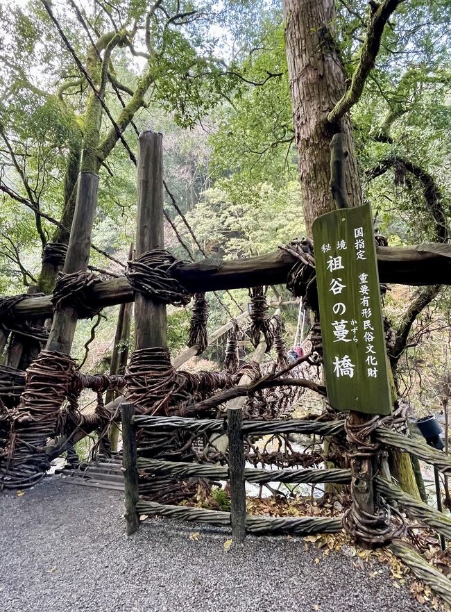 先日、徳島県東部にある「大塚美術館」に行った際に、徳島県の西部には「日本三大秘境」のひとつである「大歩危祖谷温泉峡」という場所があると知り、1カ月も経たないうちに徳島県へ再訪です。<br /><br />調べる程に魅力的な地域。「祖谷のかずら橋」「大歩危小歩危」「ケーブルカーで行く源泉かけ流しの露天風呂」などを巡る旅を計画。<br /><br />宿泊したのは「和の宿 ホテル祖谷温泉」。<br />ケーブルカーで谷底に降りていくこちらの露天風呂は源泉かけ流し。<br /><br />泉質は、pHが9.1もあるという「アルカリ性単純硫黄温泉」。ぬる湯でじっくり温まってお肌もすべすべ。細かい気泡が肌にまとわりつくような素晴らしい温泉体験となりました。<br /><br /><br />