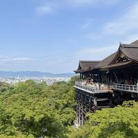 京都チャリ散策'24（PART1）まずは前年、積み残した清水寺へ