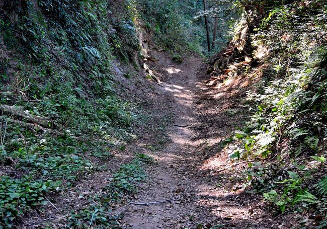 宮崎、大分の城めぐりの途中、飫肥城から足を延ばして鹿児島の志布志城を訪れた。