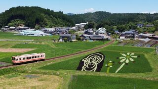 山岡の田んぼアートを見て　松野湖を漕いで来ました