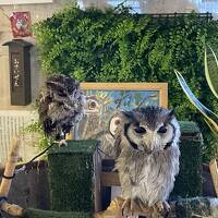 フクロウがいるご飯の美味しいホテル『和のリゾート　はづ』宿泊記と遊園地の乗り物が激安な『岡崎南公園』に行ってきました