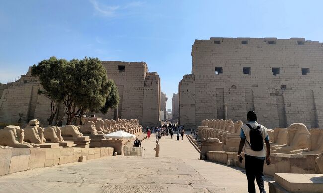 初めてのエジプト旅行、１０日間のグループツアーに参加しました。カイロ近郊で２泊、空路アスワンに飛んで、アブシンベルで１泊、アスワンからルクソールまで３泊、ナイル川でのクルーズ船による遺跡巡り、ルクソールから再度空路でカイロに戻って１泊。現地で計７泊、機中泊が２泊、の１０日間です。世界遺産となっている多くの古代遺跡や博物館を訪ねました。イスラム時代や近代、現代のエジプトはほぼ素通りで、バランスを欠くかも知れませんが、それだけの見るべき古代遺跡が多く、１０日間を費やす価値があるということでしょう。天候と、なにより優れた現地ガイドに恵まれ、良い旅になりました。<br />その⑤、カルナック神殿を見たあと、カイロに戻ります。最終日まで。