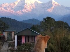 ヒマラヤの山を見にネパールへ