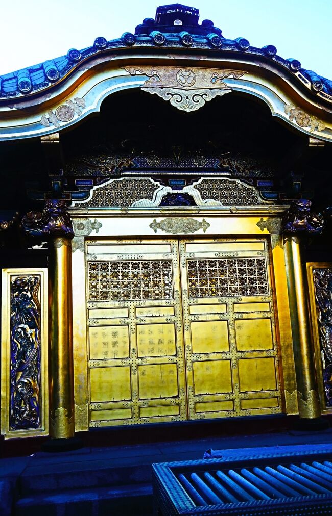 上野東照宮は1627年創建の東京都台東区上野公園に鎮座する神社。<br /><br />東照宮とは徳川家康公（東照大権現）を神様としてお祀りする神社。<br />当宮は出世、勝利、健康長寿に特に御利益があるとされている。<br /><br />金色殿などの豪華な建造物は、戦争や地震にも崩壊を免れた貴重な江戸初期の建築として国の重要文化財に指定されている。<br /><br />天海僧正は藤堂高虎らの屋敷地であった今の上野公園の土地を拝領し、東叡山寛永寺を開山。1627年（寛永4年）創建した神社「東照社」が上野東照宮の始まり。 1646年（正保3年）に「東照宮」となった。<br /><br />現存する金色殿や透塀、唐門は1651年（慶安四年）に三代将軍・徳川家光公が造営替えをしたもの。日光東照宮に準じた豪華な金色殿を建立した。<br />これに際し約250基の灯籠が全国の大名から競うように奉納された。<br /><br />江戸初期に建立された金色殿が数々の困難を乗り越え現存することは奇跡的で、強運な神君の御遺徳の賜物と言われる。<br /><br />上野東照宮　については・・<br />https://www.uenotoshogu.com/<br /><br />社殿は平成21年（2009年）1月から平成25年（2013年）まで修復工事が行われ、平成26年（2014年）から公開されている。<br /><br />狸の木像をご神体とした栄誉権現社もある。、<br />五重塔は上野動物園内に位置するが、正面は東照宮の参道に面した側。<br /><br />重要文化財<br />東照宮社殿 3棟1基　本殿・幣殿・拝殿（合1棟）<br />唐門　透塀　石造明神鳥居 　）銅燈籠 50基<br />