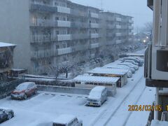 今年初めてのふじみ野市の大雪風景