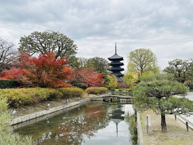 京都で宿泊したランドーホテルは9条と鴨川の沿いにあるので、最初の日はまず京都の南にある東寺を訪れました。その後は京都駅の前にある京都タワーの入っているビルのJTBで日本で使えるデジタルシムを購入しました。無事にデータも使えるようになり錦市場商店街を目指して北上。京都駅の北にはすぐに東本願寺があるので立ち寄ってみました。約400年の歴史のある錦市場商店街は全長390mの商店街でありとあらゆるものが揃います。東京でいうならば浅草の仲見世という感じですが、やはり京都というだけでちょっと素敵な雰囲気が漂います。ランチはイギリス人の友人がお寿司が食べたいというので邪道にも回転ずしのスシローに行きました。僕はお寿司はあまり得意じゃないので回転寿司は初めて、入店から開店まで一回も店員さんと話さないで済むのでとても画期的。スシローはドバイの万博の日本館に入っていたので存在を知りました。