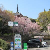 四国を車で一周　夕食対策にIHや鍋で自炊節約旅　１