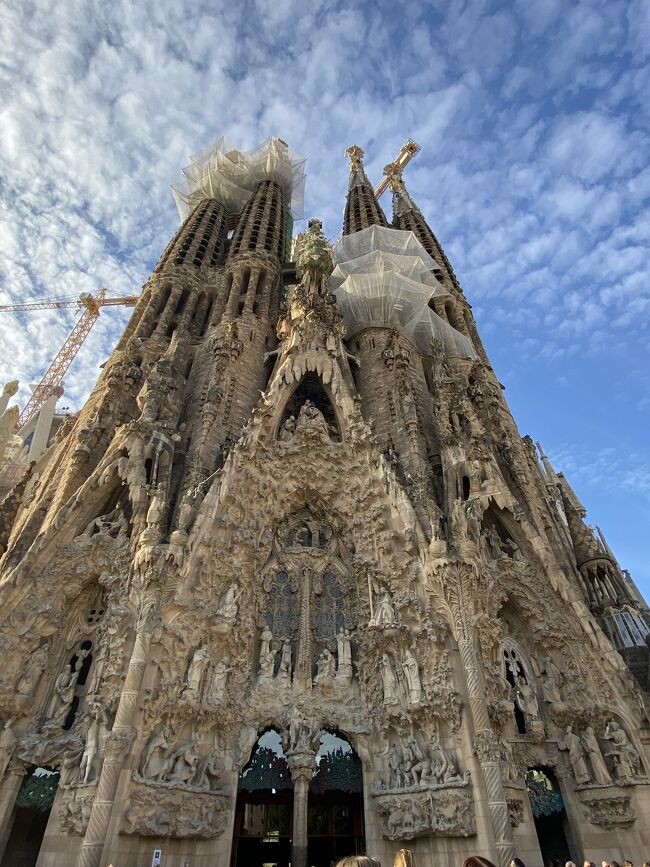 【3泊6日カタール航空】スペインバルセロナ満喫旅行記④【2023年11月】