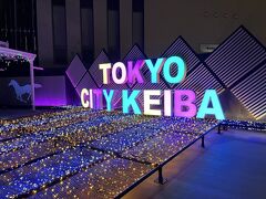 東京メガイルミ：大井競馬場イルミネーション