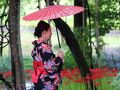 本巣・山県の旅行記