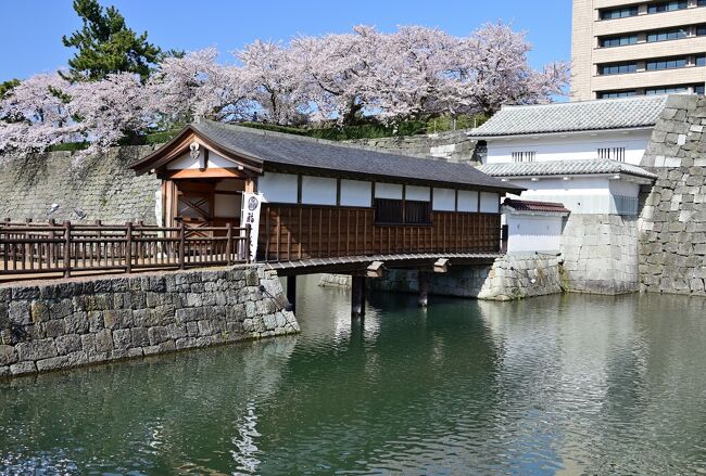 2022年の春の週末、桜が見頃の福井県と滋賀県を、１泊２日の弾丸で巡る旅へ。<br />滋賀県の「長浜」での観光を終えて、次に今回の旅のメインスポットとなる福井県の県都・福井市へと移動してきました。<br /><br />駅前のホテルに荷物を置き、さっそく市内の散策を開始し訪れたのが、越前国松平氏68万石の居城として、関ケ原の合戦後の天下普請として築城された「福井城」です。<br />現在は本丸跡と内堀が残されており、その敷地のど真ん中に県庁などの建物があるのが玉に瑕ですが、最近復元された「山里口御門」にも立ち寄りつつ、「大手門」や「天守台」のあたりをちょうど満開の桜が彩る中での登城となりました♪<br /><br />合わせて、藩主の別邸「養浩館庭園」も訪れてみて、歴代藩主たちも眺めたであろう名勝庭園の優美な景色を楽しむことができました。<br /><br /><br />〔2022福井＆滋賀へ弾丸さくら名所巡りの旅（2022年４月）〕<br />●１日目①：長浜城跡／豊公園（日本さくら名所100選）<br />　https://4travel.jp/travelogue/11883015<br />●１日目②：福井城跡（続日本100名城）／養浩館庭園（名勝庭園）【この旅行記】<br />●１日目③：足羽川桜並木（日本さくら名所100選）／足羽神社<br />　https://4travel.jp/travelogue/11886006<br />●２日目①：丸岡城（日本100名城）、霞ヶ城公園（日本さくら名所100選）／永平寺<br />　https://4travel.jp/travelogue/11887653<br />●２日目②：越前大野城（続日本100名城）<br />　https://4travel.jp/travelogue/11891018<br />●２日目③：一乗谷朝倉氏遺跡（日本100名城）<br />　https://4travel.jp/travelogue/11892348<br /><br />〔続日本100名城登城記（北陸・近畿エリア）〕<br />●高田城（越後国）：https://4travel.jp/travelogue/11754564<br />●富山城（越中国）：https://4travel.jp/travelogue/11511007<br />●佐柿国吉城（若狭国）：https://4travel.jp/travelogue/11839491<br />●大和郡山城（大和国）：https://4travel.jp/travelogue/11613989<br />●福知山城（丹波国）：https://4travel.jp/travelogue/11757484<br />●出石城（但馬国）：https://4travel.jp/travelogue/11774247