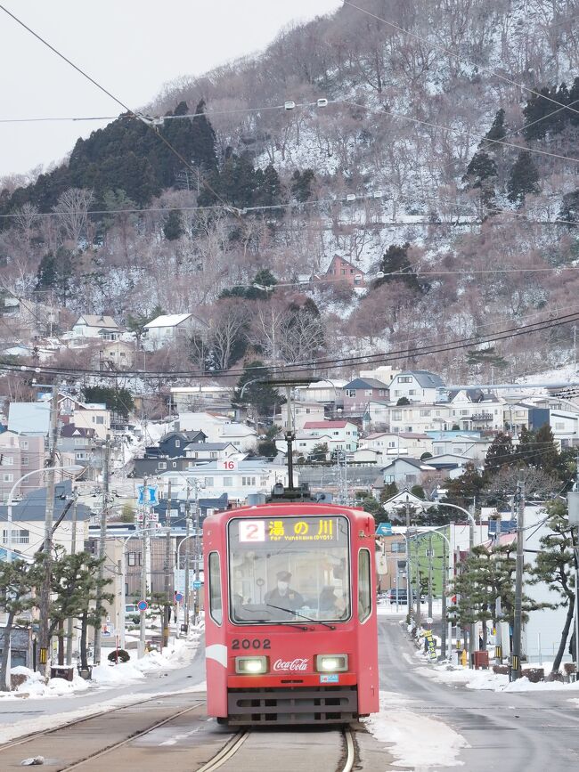 函館に2泊３日で行ってきました。<br />一日目は函館の路面電車をメインに撮りました