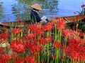 本巣・山県の旅行記