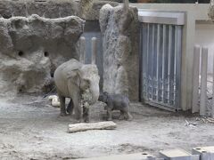 久しぶりに北海道へ（札幌円山動物園編）