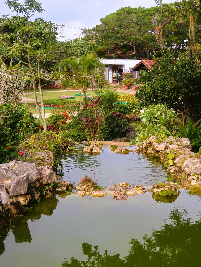 宮古島市熱帯植物園は、沖縄県内最大の人工熱帯植物園。<br /><br />12万平方メートルの広大な敷地には、約1,600種以上の植物が生育している。<br /><br />植栽されている約1,600種以上の中でも、デイゴやガジュマル・トックリキワタなど沖縄らしい植物が魅力的。<br /><br /> 園内には体験工芸村が併設されており、伝統工芸や郷土料理を楽しむこともできるようだ。<br /><br /> 南米原産の低木であるブーケンビレアは、20度程度の気温がある温暖な地域でいつでも開花する。その一方で寒さにも強く、5度以上であれば越冬も可能。<br /><br />ブーケンビレアの名前は、1768年にブラジルで木を見つけた探検家ブーガンヴィルに由来。花は中央部分にある白い箇所だけであり、周りの色づいている部分は包葉であることを知っていると、見方が変わる。<br /><br /> ブーケンビレアは、葉が華やかで、広い地域で育成しやすい植物。<br /><br /> <br /><br />宮古島 熱帯植物園の周辺施設