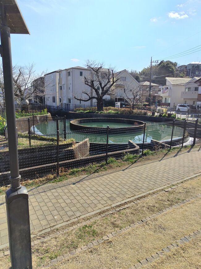 神奈川県川崎市のお散歩（第2回目）～高津区～