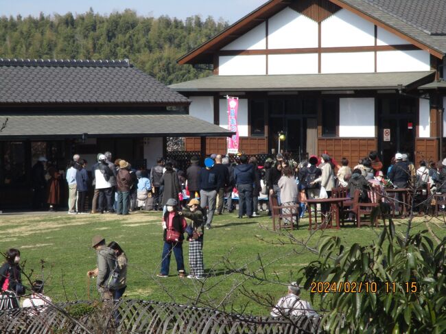 孫連れて佐布里池　火を回す大道芸<br />写真は２４０２１０－１１１５．向こうに人が群がります。にぎやかな声が聞こえてきます。あったかそう。風が弱い。佐布里のウメを見に行こう、とやって来ました。辿り着いたら、もう終盤。それでも見ごたえ大あり。<br />駐車場が混んでます。天気が良ければ考えることはみな同じ。と思うもそれより今日から梅まつりじゃ人が来る訳だ。私の前の車は通されたが、私はもう満車の案内を出される。１台出てくる車があったから、前の車は通されたのです。