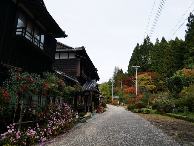 木曽路歩きも大詰めの5日目。今日歩く予定の道は”木曽路といえばここ！”という妻籠～馬籠間の峠越え。そもそも私たちが木曽路を歩こうと思ったのはNHKのドキュメント72時間「初夏の木曽路をゆく」を見たからで、その番組で取材していた茶屋跡がその峠にあるっぽい。ということで、今日はこの旅のメインイベント。体はバッキバキだけどがんばってくぞ！・・・と思っていたんですけれども！！<br /><br />　11/1(水) 札幌→羽田→新宿<br />　11/2(木) 新宿→塩尻→桜沢→贄川→奈良井<br />　11/3(金）奈良井→鳥居峠→藪原→宮ノ越→木曽福島<br />　11/4(土) 木曽福島→上松→寝覚の床<br />　11/5(日) 寝覚の床→倉本→須原→野尻<br />★11/6(月) 野尻→須原→南木曽→妻籠→馬籠<br />★11/7(火) 中津川→名古屋→中部国際空港