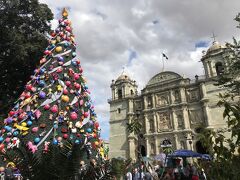 メキシコ周遊①：先住民文化の溢れるオアハカ観光とグルメの旅-1