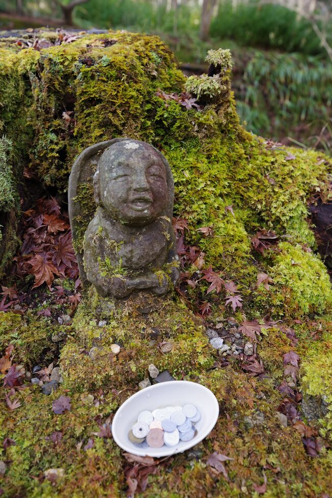 ※写真は京都大原の石地蔵、話しかけてきているような表情<br /><br />自動車の買い替えをして翌日、奥様のリクエストにより大原へ<br />春節でその国の団体客も早朝から来ています。<br />つけ物屋の爺さんに春がそこに来ていますと商品を指差しされて、帰りに寄りますと応え、記憶がなくなった事にさせてもらいます。<br />戻り道の大山崎で京都縦貫道へ、味夢の里で買い物