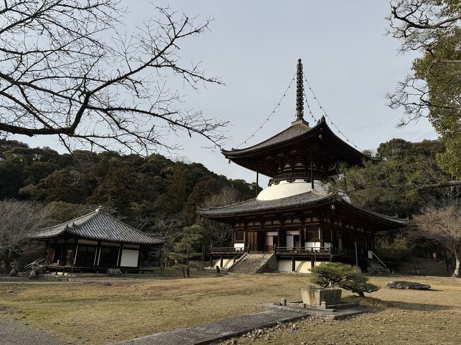 今回は４トラ地図埋め旅。<br />優先順位が高いのは『見ること』なのか、それとも『食べること』なのかは分かりませんが、久しぶりに関西の旅を楽しもうと計画した私たちでした。<br />最初に訪れたのは和歌山県。<br />美味しいご当地ラーメンを食べた後は、和歌山城と根來寺のみ見学。<br />じっくり滞在という訳には行きませんでしたが、良かったら皆さんの旅の参考にしてください。。<br />