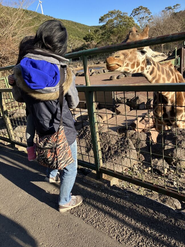 南米からの、一時帰国の家族と一緒に子供向けの温泉に行って来ましたた。皆さん小さな子供向け施設を、目的にしている様でした。<br />伊豆アニマルキングダムはとても動物が近くて、キリンに餌をあげたりできるので，子供には，大変満足度が高い用です！<br />帰りには、沼津で美味しい鰻定食を食べて帰ってきました。1泊2日の旅行です。