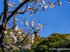 大田区ドライブ＆フォトウォーク