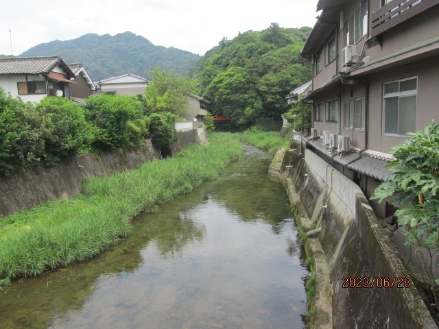 奈良へは何回か来ていて、この周辺にも来たことはあった。が、長谷寺は今日が初めてだ。以前来た時はレンタカーで、この長谷寺の先にある室生寺、女人高野の国宝の三重塔を見に行った。その時長谷街道を通って、山中に入って行ったので、この寺の前の街道を走った筈だが、当時は今ほどに宗教心もなく、長谷の長い回廊のことは知ってはいたが、何故か端折ってしまった。<br /><br />女人高野は本当に山の中にある小さなお寺で、本堂の脇に立つ国宝の三重塔も小ぶりで、女人の名前に相応しかった。町から離れた場所にあり、参詣者も殆どいなかった。何年か前、台風の倒木で、この三重塔が大きな被害を受けたとニュースで知ったが、今はもう修復されているに違いない。<br /><br />近鉄長谷寺駅は高台にあり、前の谷を越えて、反対側に長谷寺がある。谷の底を通っているのが長谷街道で、その谷を初瀬川が流れている。駅からはその谷底に向かって長い坂を下り降りる。下りきったところに国道が通っていて、それは昔の長谷街道が現代的に整備されたものに他ならないが、奈良の桜井から三重の名張を結ぶ重要な国道になっていて、交通量も多い。<br /><br />国道に沿って小川が流れている。河底に葦が生え、ていて、昔風の小川だ。ああ、これが初瀬川。長谷の初瀬。万葉の時代から詠われてきた小川だ。この川がずっと流れ下って、大和川になる。その途中には海石榴市(つばいち）もある。交易船は大和川を遡って、大和の三輪までやってきて、交易をした。大和まほろばの万葉の頃の話だ。<br /><br />そんな小舟も通ったような川もこの辺りでは山の渓流で、せせらぎのような流れだ。その小川に赤い欄干がかかっていて、その橋を渡った先が長谷寺に向かう参道となっている。鉄道が出来る以前には、人々はこの参詣道を歩いて寺までやって来た。橋の袂にはもう今は使われていないような旅館が数軒建っていて、電車や車が無かった頃、人々は山道をここまでやってきて、漸く宿に入り、翌日の参詣に備えたのだ。