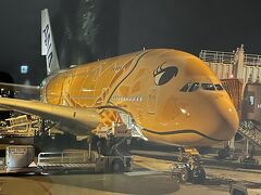 A380 FLYING HONU ラーちゃんで行く！ハワイ4泊6日の旅