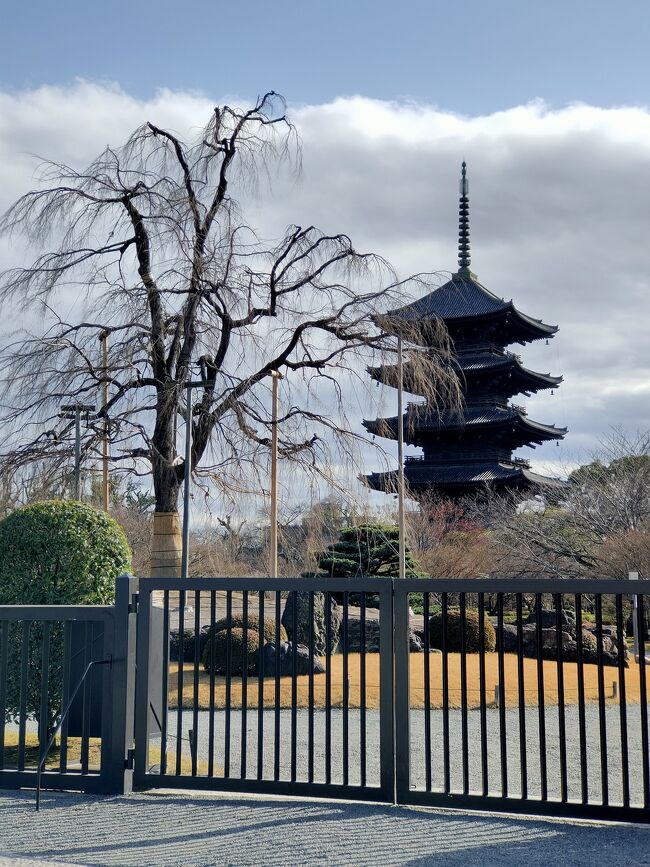 おやつの後は京都駅から歩けるお寺<br />ということで東寺へ。<br />ちょうど五重塔の内部が<br />特別公開で初層だけ見学できました。