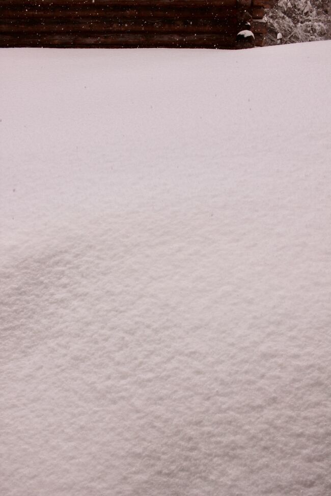 雪の日サルツマンとハルシュタットで出会った美しい景色。<br />