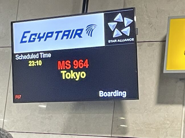 エジプト観光を終え、空港に向かいます。<br />帰りの飛行機はここ数日の2，3時間睡眠のため、9時間ほど爆睡できました。起きたら韓国上空だった時の驚き(笑)。<br />エジプトは神殿も博物館もピラミッドも素晴らしかったです。<br />ただ、エジプト航空を含めてインフラがまだもう一歩なのは否めません。これからどんどん良くなることを期待しています。<br /><br />2/4(日）MS0965　2030成田発<br />2/5(月）0400カイロ着　MS0062　615カイロ発720ルクソール着　ルクソール東岸（カルナック神殿・ルクソール神殿）ナイル川クルーズ船（アレッサンドラ）昼食　夕食　ベリーダンスショー　船中泊<br />2/6(火）530ルクソール西岸（王家の谷・ハトシェプスト女王葬祭殿・メムノンの巨像）カルトゥーシュ店　昼食　エスナ門通過　ティータイム　カクテルパーティー　夕食　船中泊<br />2/7(水）700ホルス神殿　昼食　1530コムオンボ神殿　夕食　ガラペイヤパーティー　船中泊<br />2/8(木）700イシス神殿とファルーカ乗船（OP)　アスワンハイダム　1400昼食　1500ホテル　1830アブシンベル神殿「音と光のショー」　2000夕食　アブシンベル泊<br />2/9(金）アブシンベル(大神殿・小神殿）1200昼食　香水店　1700夕食　MS0087　2050アスワン発2220カイロ着　ギザ泊<br />2/10(土）ギザ（3大ピラミッド・スフィンクス足元エリア・パノラマポイント）昼食　パピルス店　第エジプト博物館ソフトオープンエリア　エジプト考古学博物館　MS0964　2310カイロ発<br />★2/11(日）1810成田着
