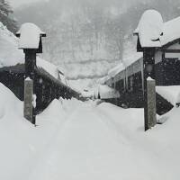 豪雪の鶴の湯温泉、狙い通りの雪見風呂三昧
