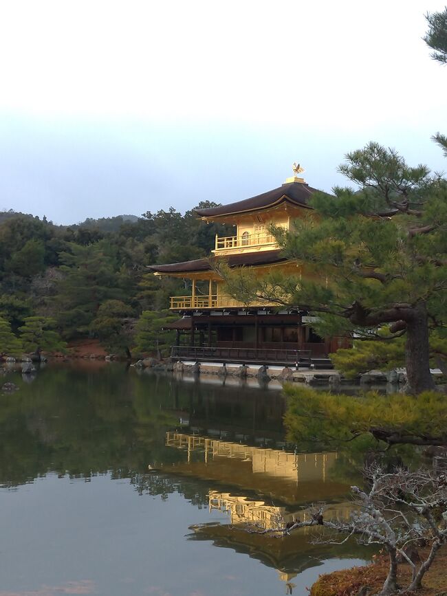 年末年始に京都へ1年ぶりの帰省をしました。次男の発熱で出発を1日遅らせたので、3泊4日での帰省となりました。<br />