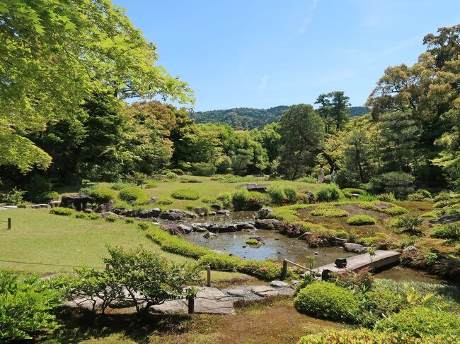 京都の旅　２０２３年５月　その３です。