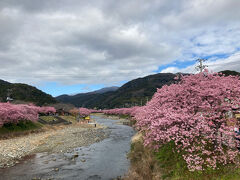 河津桜と雛のつるし飾り（河津桜まつり）