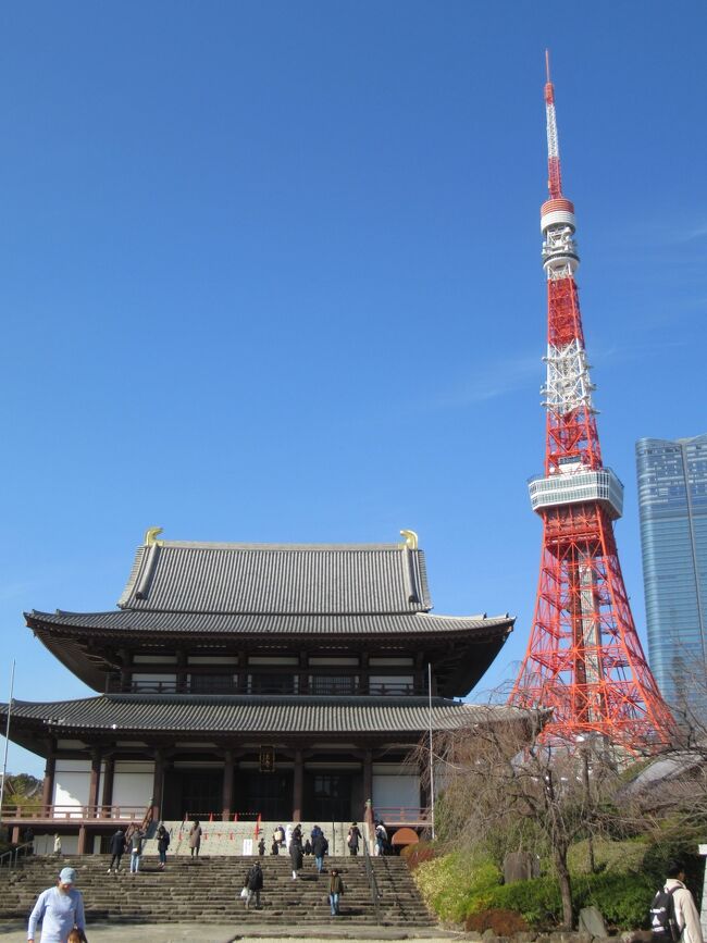 2024年2月の最初の３連休に奥さんと二人で東京に旅行に行ってきました。昨年は、JALに乗ろうとしたらキャンセルになってしまってボーナスマイルが貰えず、今年は早めにということでお財布とも相談して行先を東京に決めたのでした。<br /><br />①では、羽田から東京タワーに向かってランチを食べた所までです。東京タワーはわたくしが今回の旅行で希望した訪問先です。中学の修学旅行の時に上ったかもしれませんが、もうすでに忘却の彼方なので・・・<br />トップの写真は、定番の増上寺と東京タワーですが、4traでフォローさせて頂いている方も同じような構図の写真を掲載されていました。<br /><br />我々が訪問したのは2/10で、素敵なご夫妻のyumikenさんは2/13でした。<br /><br />yumikenさんの旅行記はコチラをご覧ください。<br />https://4travel.jp/travelogue/11886811<br /><br /><br /><br />