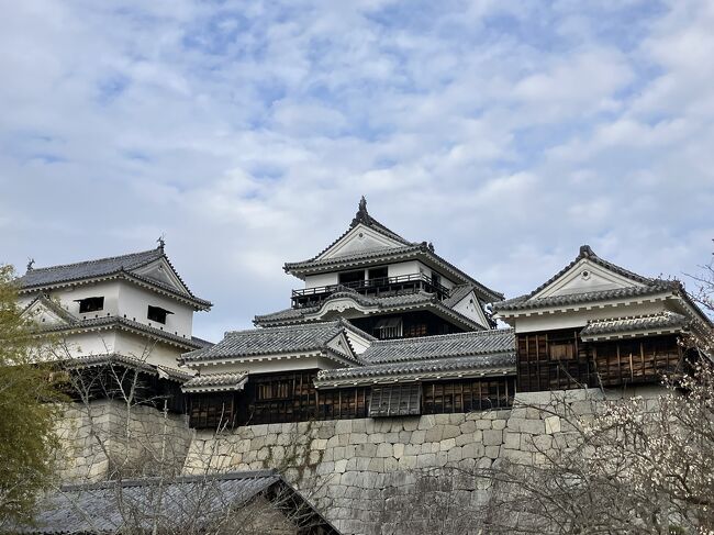 日本100名城の一つ、愛媛県松山市の松山城に行ってきました。<br /><br />松山城の現存12天守の一つですが、天守だけだはなく、城を守る石垣も素晴らしいお城でした。<br />天守も大天守と小天守が一体となった建物で、見どころ満載です。<br />また、松山城は小高い山の上にあり、360度の眺望も楽しめました。