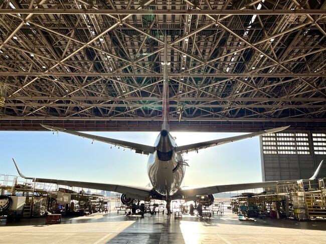 2月の旅行その前に。。前泊して飛行機を間近で見よう☆彡JAL SKY MUSEUM .｡.:*☆前泊前編